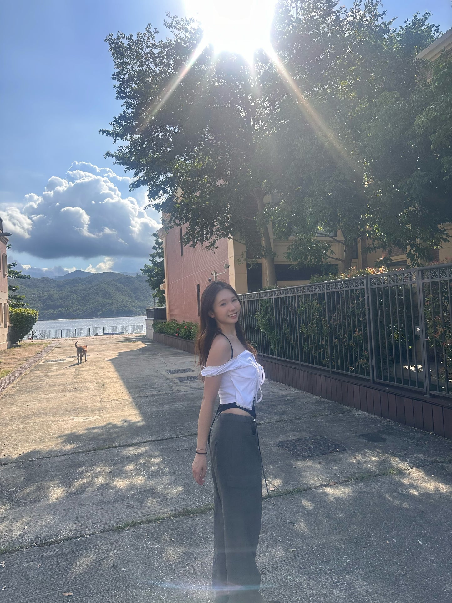 Girlfriend Lace top